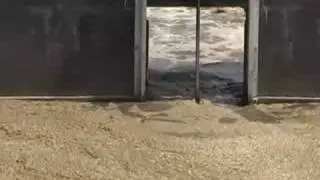 Sludge raises health concerns
