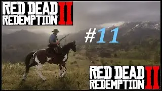 Red Dead Redemption 2 🐎Прохождение 11【 RDR2 ultimate 4k gameplay РДР2 русская версия обзор ред дед 】