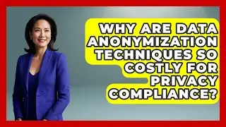 Why Are Data Anonymization Techniques So Costly For Privacy Compliance? - AI and Technology Law