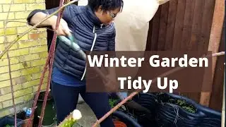 Winter Garden Tidy Up - And Repotting Plum and Tayberries -