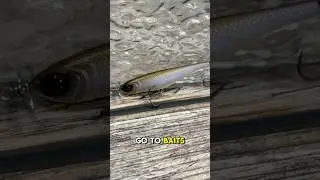 This Finesse Bait Is CHANGING The Bass Fishing Game!