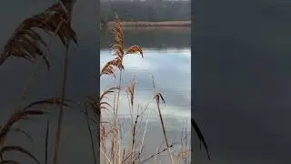Venice on the bay, Hines pond, saltwater pond, Pasadena, MD