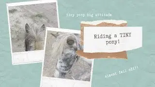 I rode an 11 hand pony?! | Tack Up & Ride w/ Me!