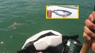 Shark Fishing In St. Petersburg | How To |