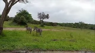Lake Mburo National Park
