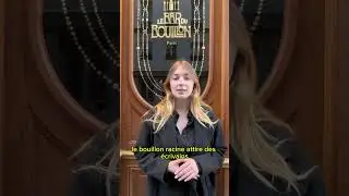 LES HISTOIRES DE CAMONDO | Le Bouillon Racine