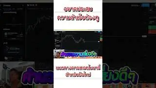 มือใหม่อยากอยู่รอด !!! #tradertan #tanofficial