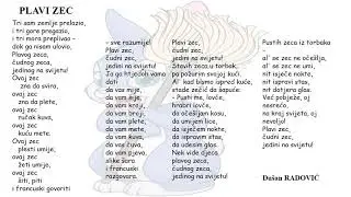 Plavi zec