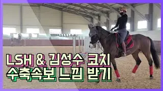 [승마] LSH & JB Stable 김성수 대표 | 수축속보 느낌 받기 | 경속보 좌속보 평보 | DK Horse | Y♡U 당신이 주인공 | 마장마술