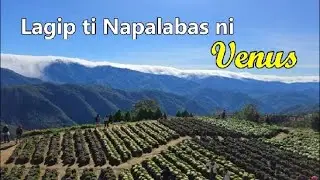 LAGIP TI NAPALABAS | Dear Manong Nemy | ILOCANO DRAMA | Story of Venus