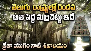 Chipurugudem Banyan Tree, Oldest Shiva Temple in India, Lord Siva Temple, Nature Lovers, Temple