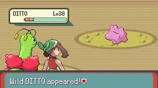 [Pok&eacute;mon Emerald] RNG Manipulation (Sweet Scent) - Rash Ditto (31/31/31/31/31/31)