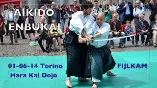 Aikido in Piazza San Carlo (TO) - Marco Rubatto & Hara Kai Dojo
