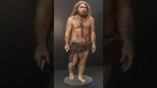 L&rsquo;homme de n&eacute;andertal #histoire #passion #pr&eacute;histoire #art