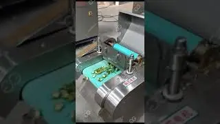 Pepper Chili Cutting Machine#machine #processingequipment