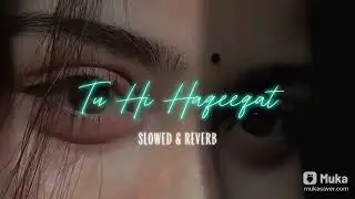 Tu hi hageegat