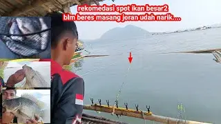 Mancing jatiluhur terbaru//rekomendasi  spot ikan besar2 belum beres masang joran udah narik.......