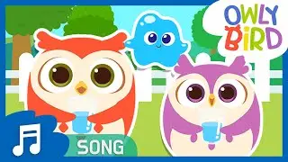 The Water Song | Healthy Habits | Let&rsquo;s Save Water Together | Nursery Rhymes | OwlyBird