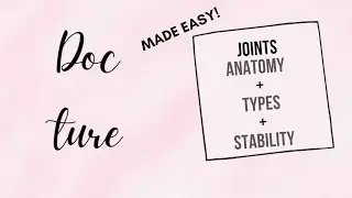 All you should know about &ldquo; Joints Anatomy Types & Stability&rdquo;