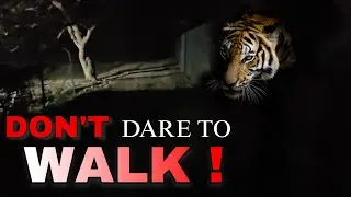 कुछ तो है! 