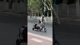 Brompton with ibiyaya dog trailer. Perfect match! #cyclingwithdog #travelwithdog #bikingwithdog