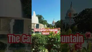 This Hidden DC Fountain Will Surprise You 😍#dc #hiddengems #travel #shortsfeed #shorts