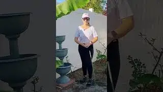 Truck load of FREE mulch delivery from Chip Drop | Garden Refresh, Banana Tree Trimming