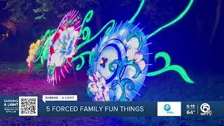 5 forced family fun things for the holidays