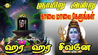 ஞாயிறுக்கிழமை காலை மாலை கேட்கவேண்டிய சிவன் பாடல்கள் HARA HARA SIVANE SUPER HIT SIVAN SONGS