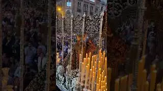#sevilla #ssantasevilla23 #reina #virgenmar&iacute;a #viralvideo #cofrades