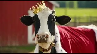 Majesty king 👑 🐮#funny#viral