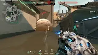 Rozeriya Montage