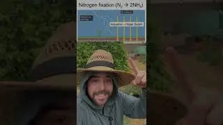 Rain Water: Why Its BETTER!