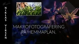 Makrofotografering på hemmaplan.