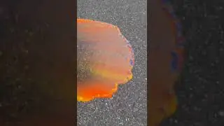 Oddly Satisfying Video #261 #shorts