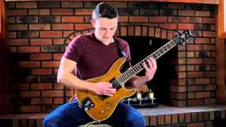 Polyphia - Euphoria (Cover by Danny Scholz)