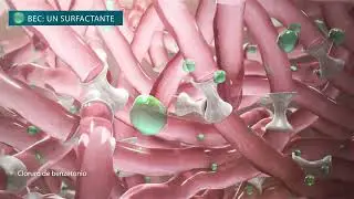 AP&Oacute;SITO AQUACEL AG+ Y BIOFILM