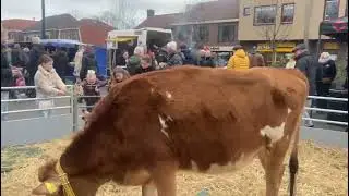 Kerstmarkt Eibergen 2025 deel 1 