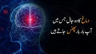 Compulsive Behavior Explained | Why We Repeat Harmful Habits | Urdu | Hindi