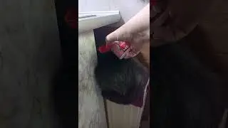 Боря дал храпа