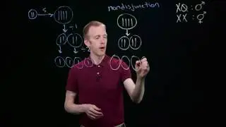 Nondisjunction