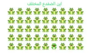 ابحث عن الحيوان المختلف , جد الشيء المختلف
