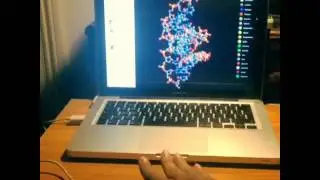 DNA visualisation using Leap Motion