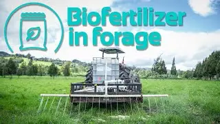 Benefits of biofertilizer in forage | Biodigesters Sistema.bio