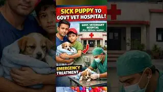 Humanity Alive ❤️ Father & Son Take Sick Puppy to Hospital #youtubeshorts #shortsfeed