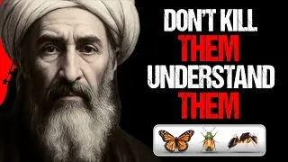 Ibn Arabi Reveals The Hidden Message Behind the Ants&nbsp;in&nbsp;Your&nbsp;Home