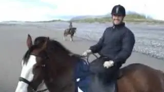 Clydesdale heavy horses during beach gallop
