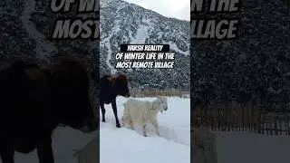 Unreal: Life at &ndash;20&deg;C | Struggling Through Winter in the Himalayas | Remote Village Life #fyp #viral