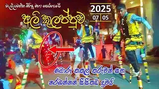 Ali Kulappuwa | Elephant Attack in Sri Lanka 2025 | Wellawaththa Mihindu Perahara Boru Kakul Karuwan