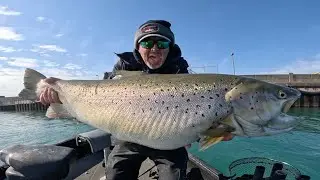 Ice Out HUGE BROWN TROUT